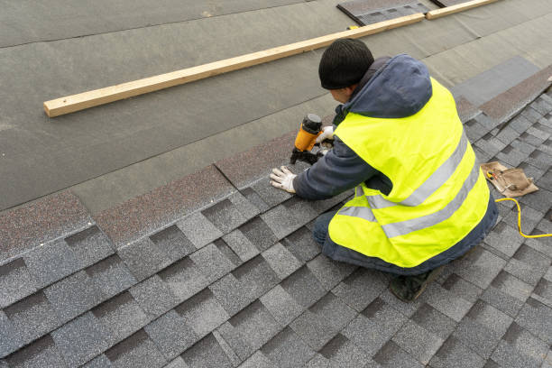 Best Roof Gutter Cleaning  in Kingston, NY