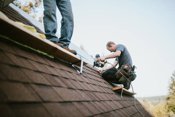 Roof Gutter Cleaning in Kingston, NY